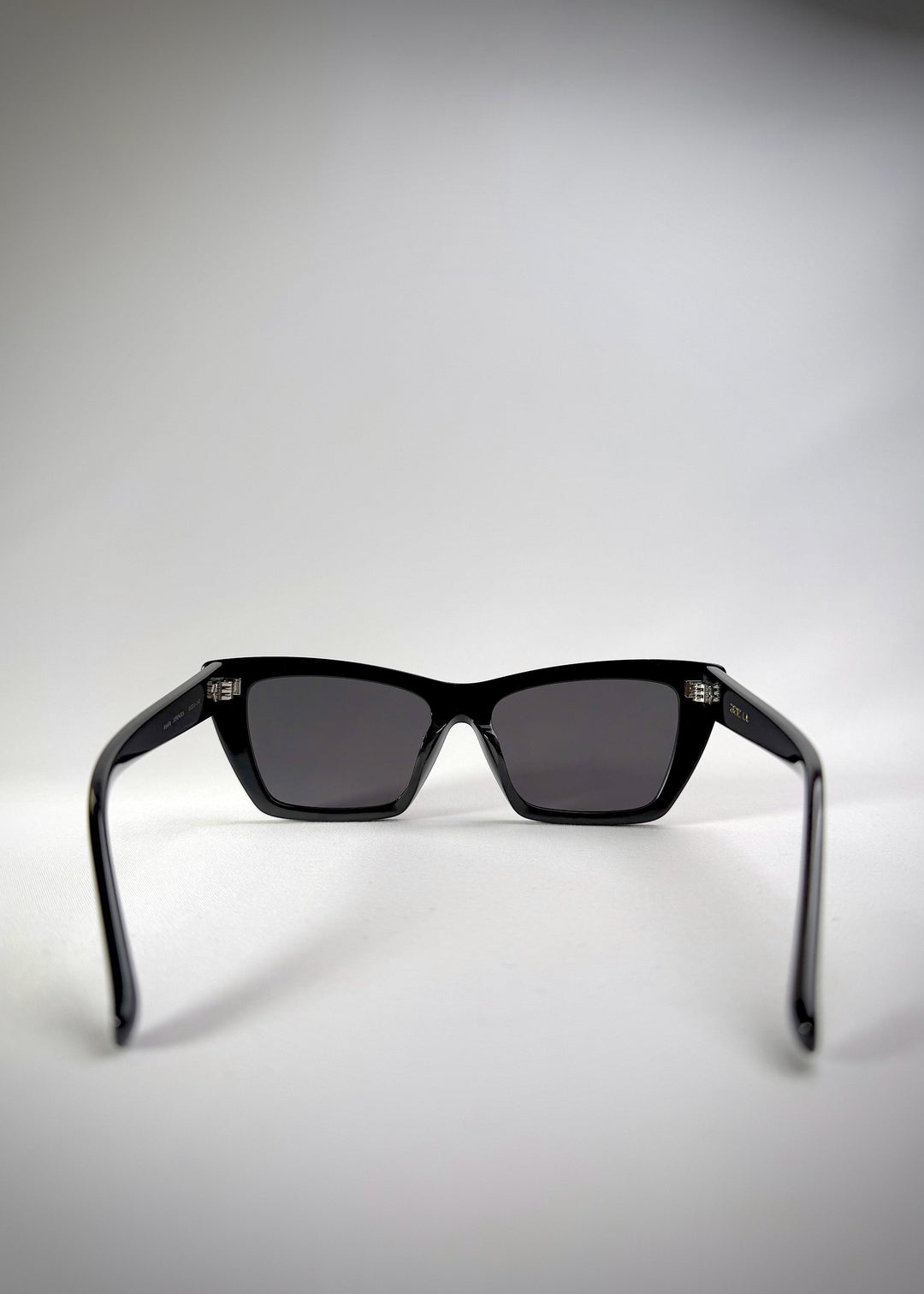 Back view of Aquila Black sunglasses, showing the temple arms and inner frame. 